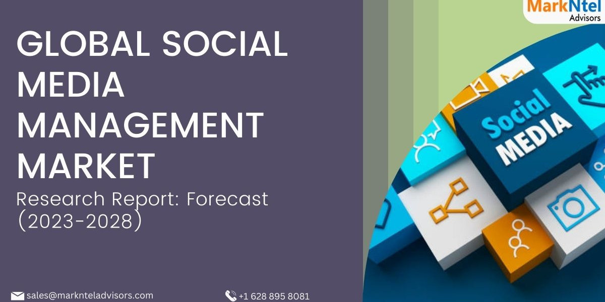 Social Media Management Market in 2028: Size, Share, Growth Analysis, Leading Companies, and Investments