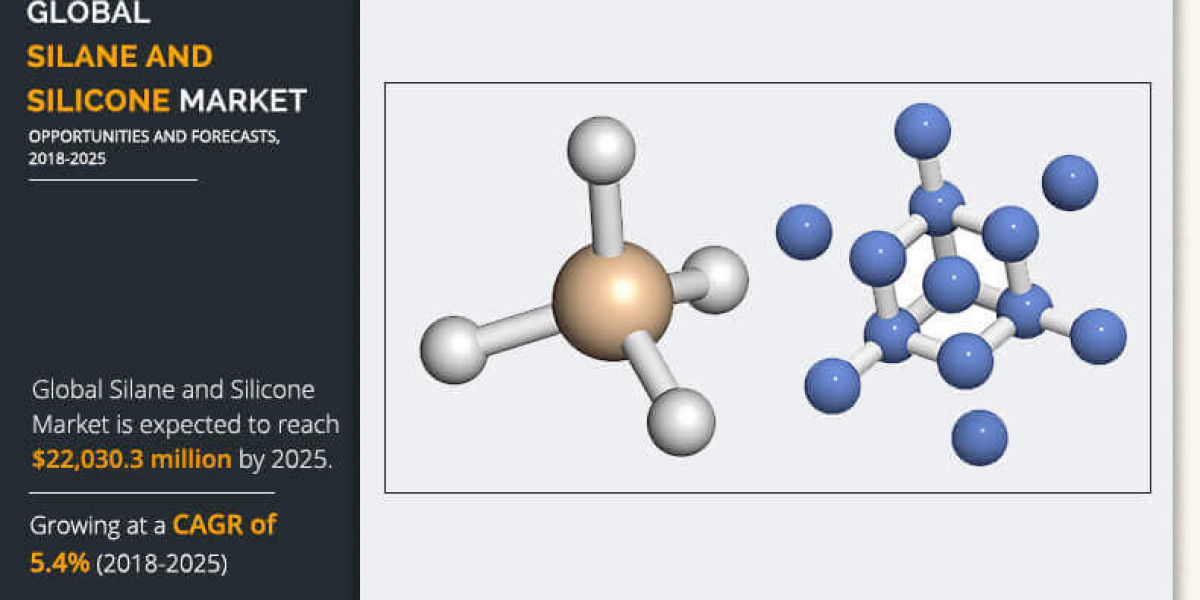 Market Dynamics and Future Trajectory of the Silane and Silicone Industry