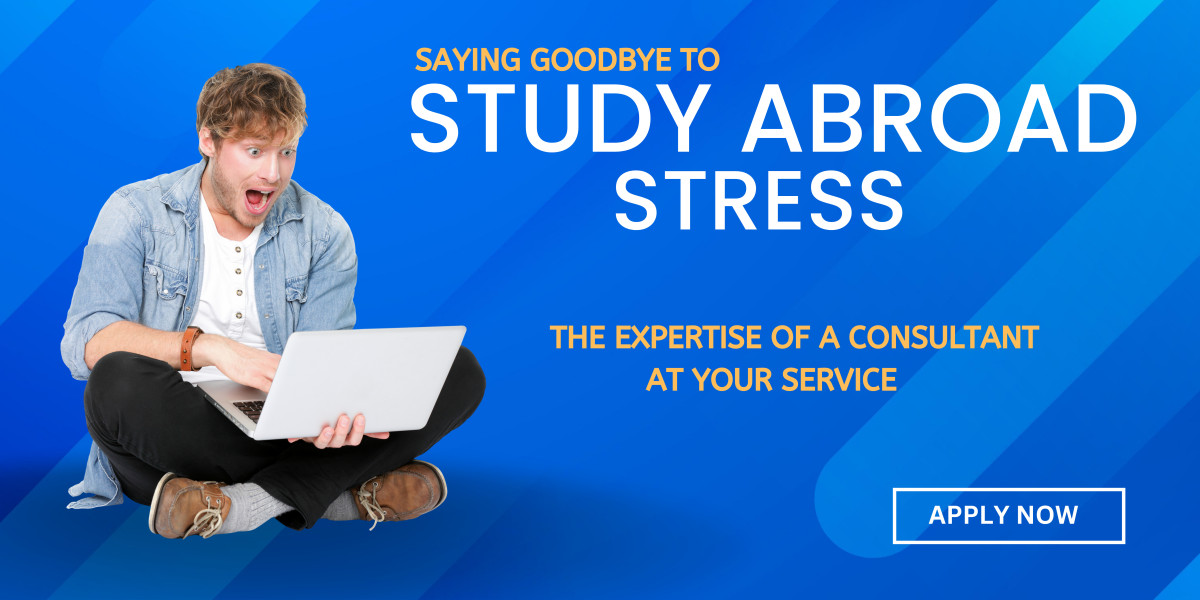 Saying Goodbye to Study Abroad Stress: The Expertise of a Consultant at Your Service