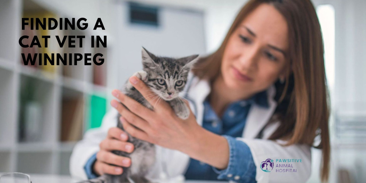 What You Need To Know When Finding a Cat Vet in Winnipeg?