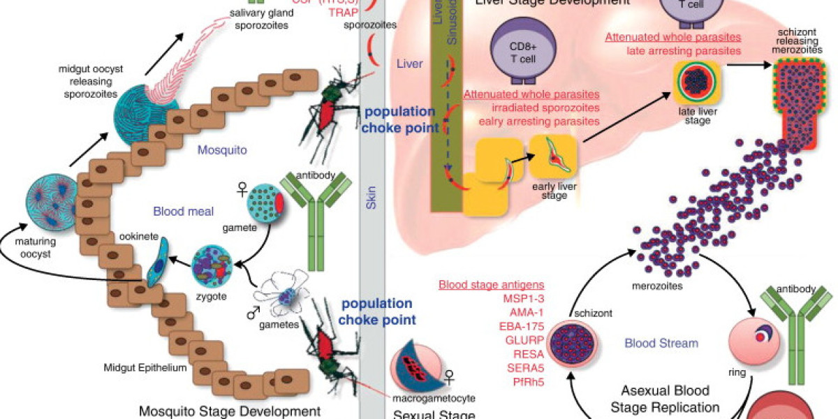 Challenges in Malaria Vaccine Development