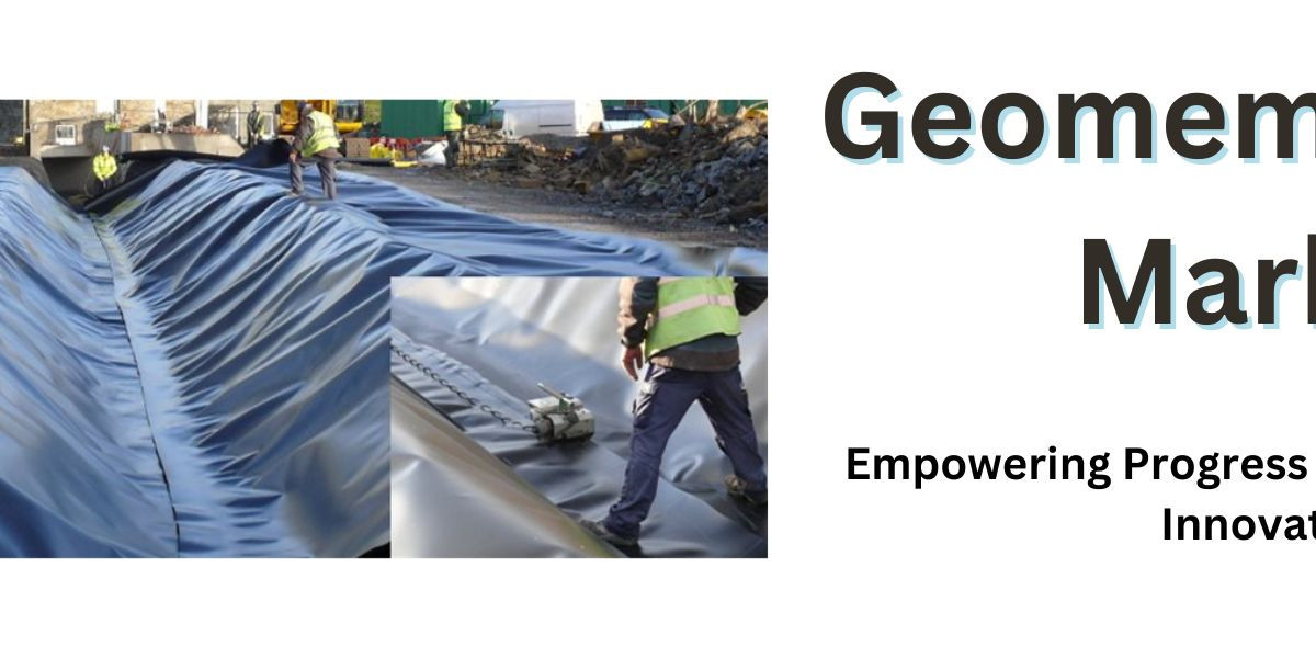 Unveiling the Growth Drivers in the Geomembranes Industry