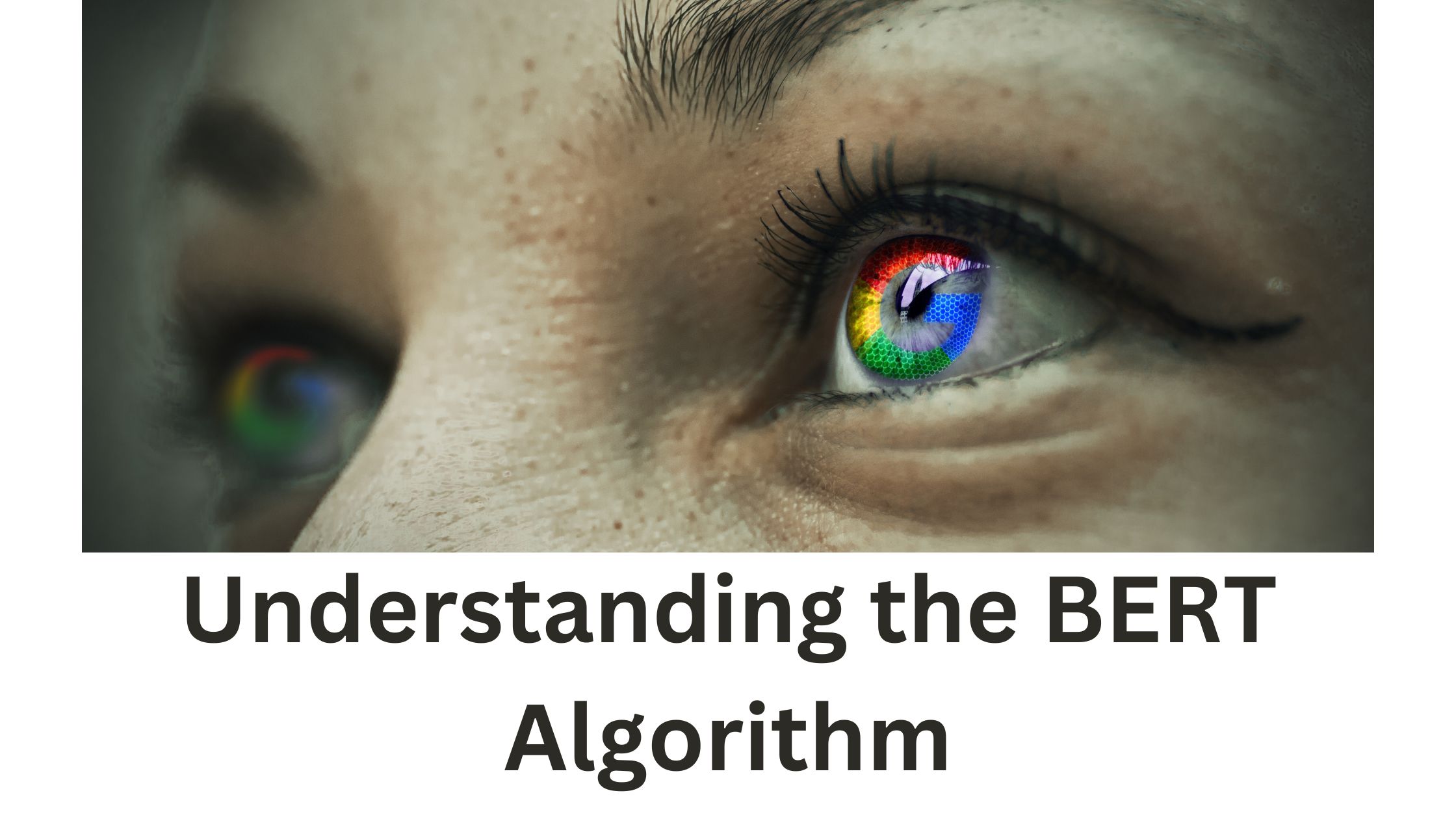 Demystifying BERT Algorithm: NLP's Power Unveiled