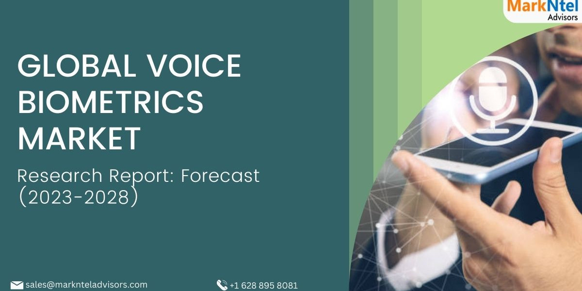 Navigating Voice Biometrics Market: Current Size, Share, Growth Trends, Investment Opportunity