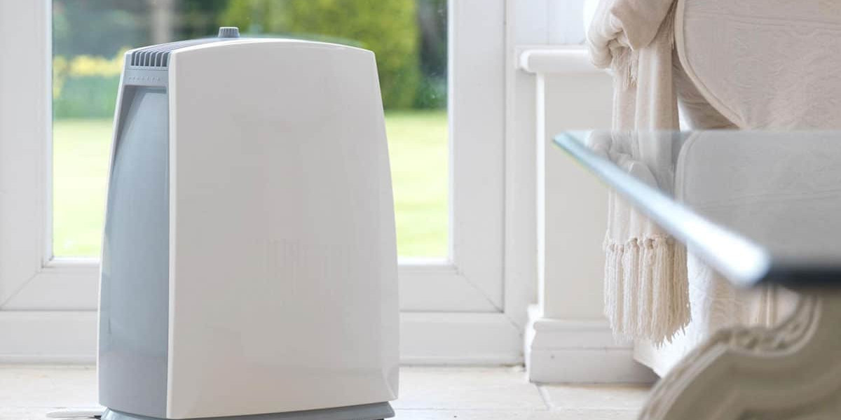 Dehumidifier Market: A Look at the Industry's Growth and Future Prospects