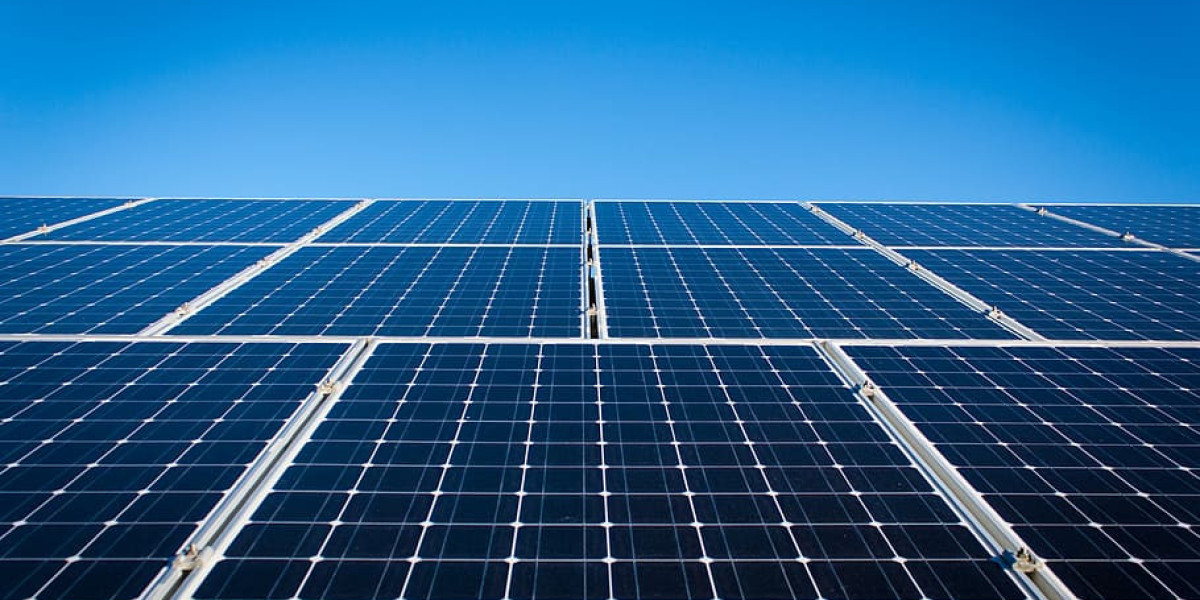 The Power of Solar Panels: Future of Solar Modules and Sustainability