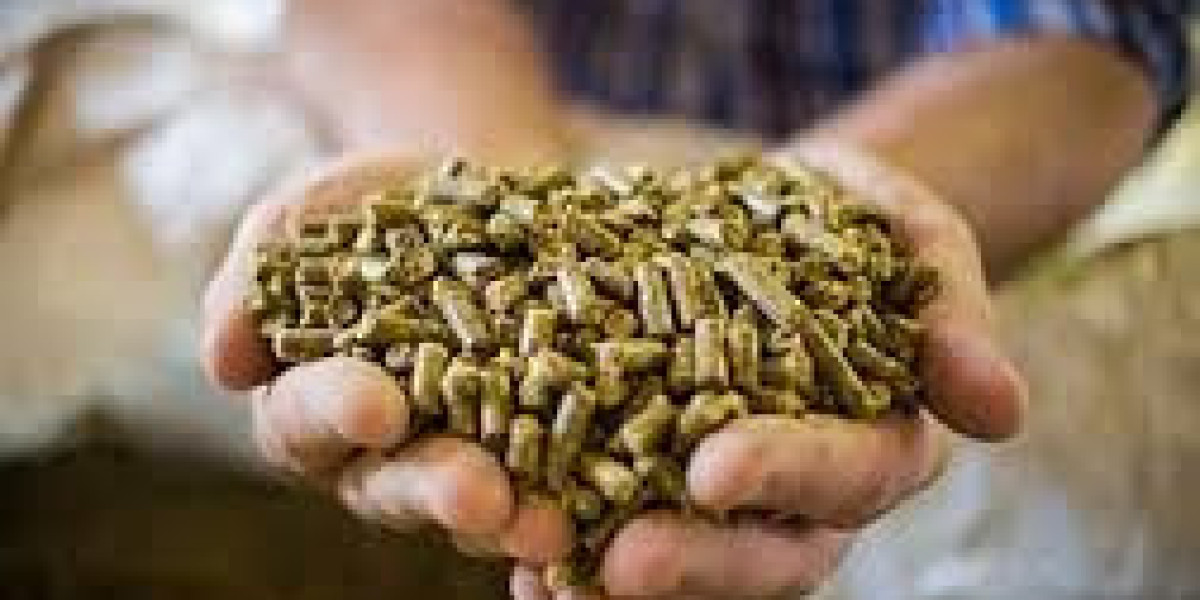 Feed Enzymes Market Share, Size, Growth, Report Study, Demand, Key Players, and Forecast 2030