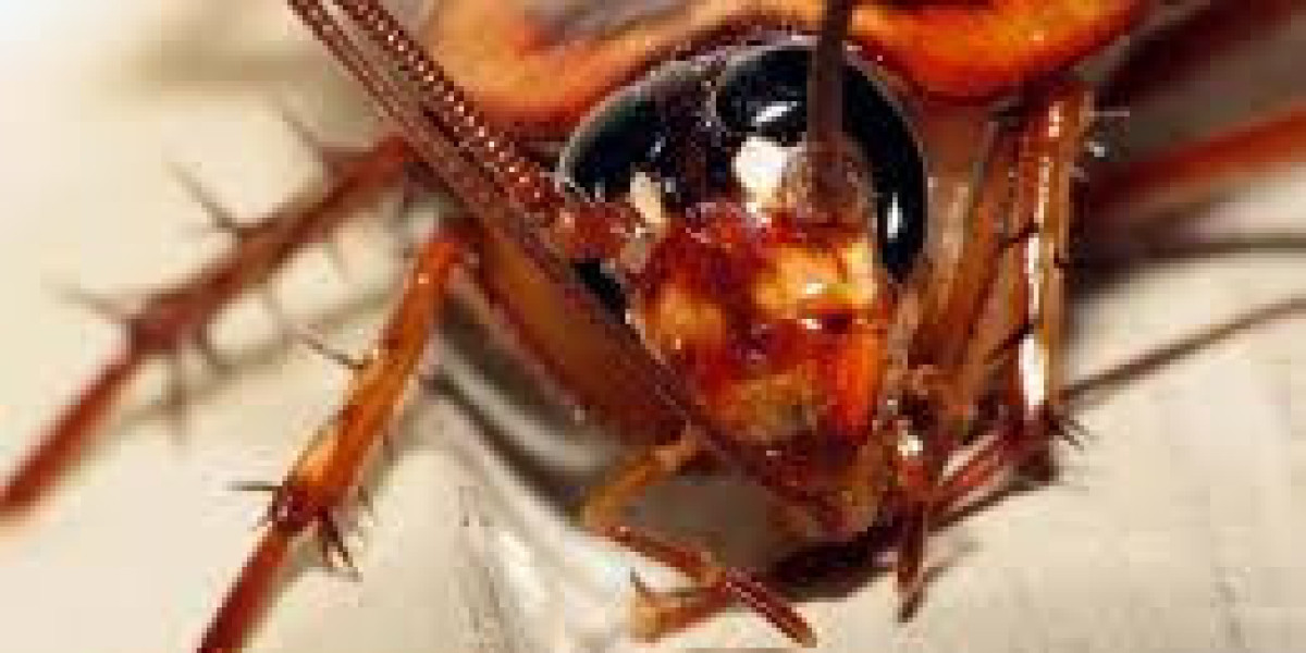 The Impact of Cockroaches on Your Health and Business: Why Effective Pest Prevention Matters
