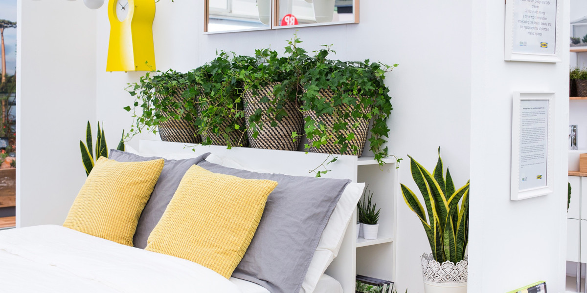 Green Delivered to Your Door: The Benefits of Buying Indoor Plants Online