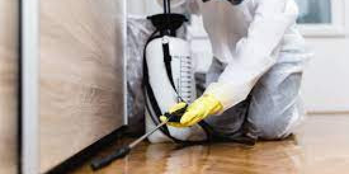 Taking Control of Your Home: Discover the Advantages of Customized Pest Eradication Services