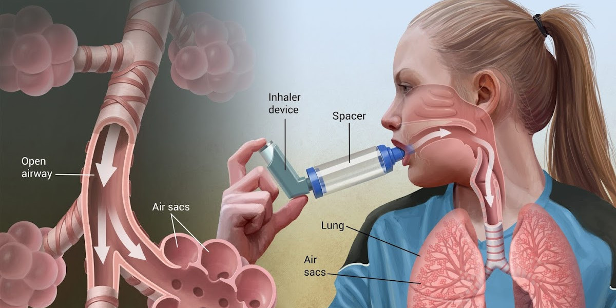 Navigating the Asthma Inhaler Device Market: A Regional Analysis