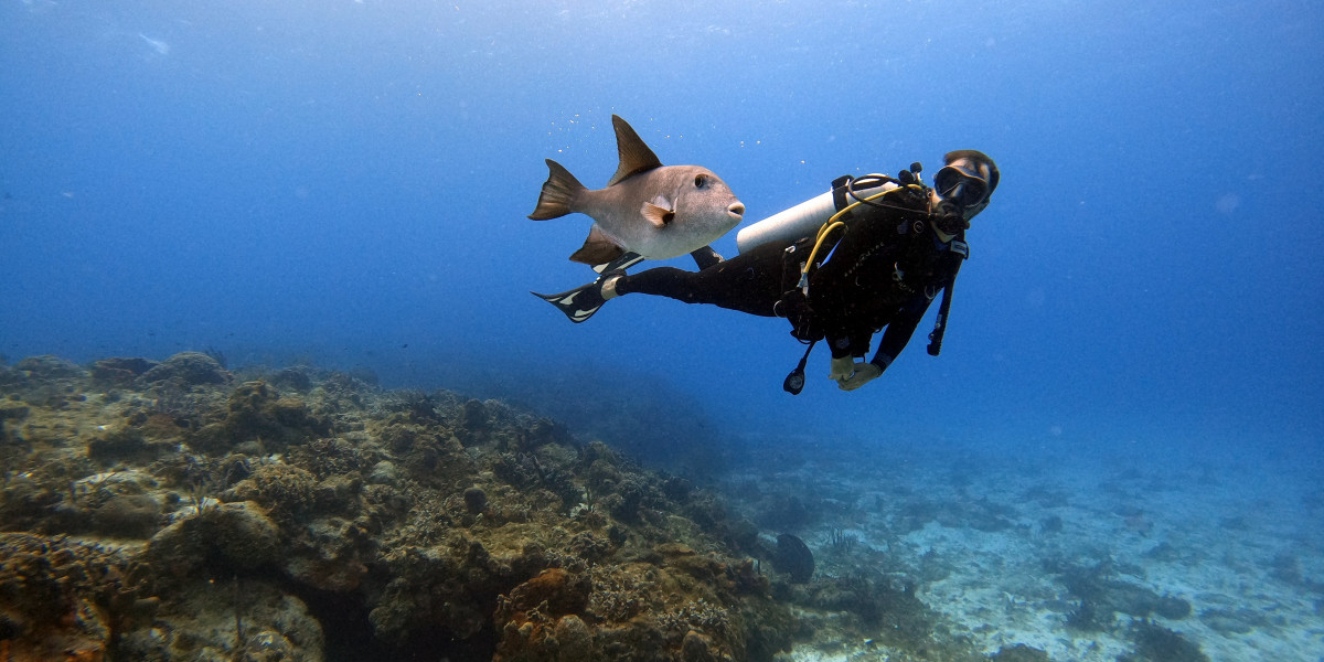 How does a wetsuit work?