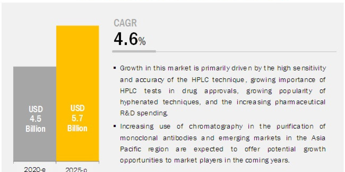 Driving Growth: Key Factors Shaping the High-performance Liquid Chromatography (HPLC) Market