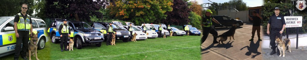 Warehouse Guard Dogs Sutton - Total Guard Security