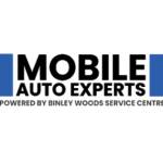Mobile Auto Experts
