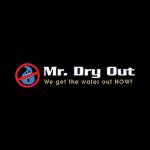 Mr Dry Out