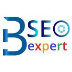 Seo Expert Bangalore