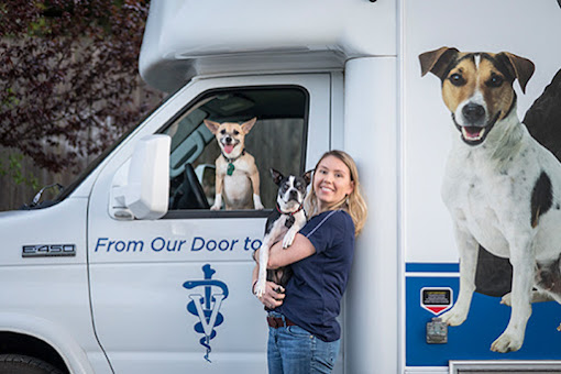 Dog Dentist In Portland