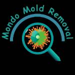 Mondo Mold Removal