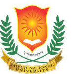 Jaipur National University