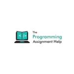 Programming Assignment Help