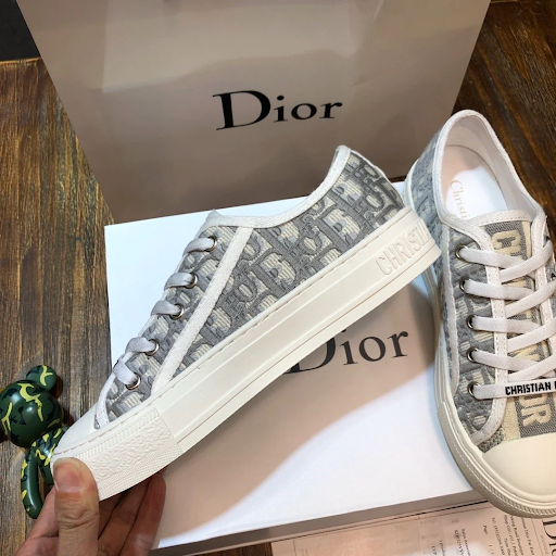 The Unparalleled Elegance: Decoding the Special Traits of Dior Shoes - Thelivechat.com