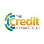 Thecredit Specialists