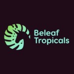 Beleaf Tropicals