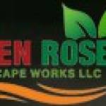 green rose landscape