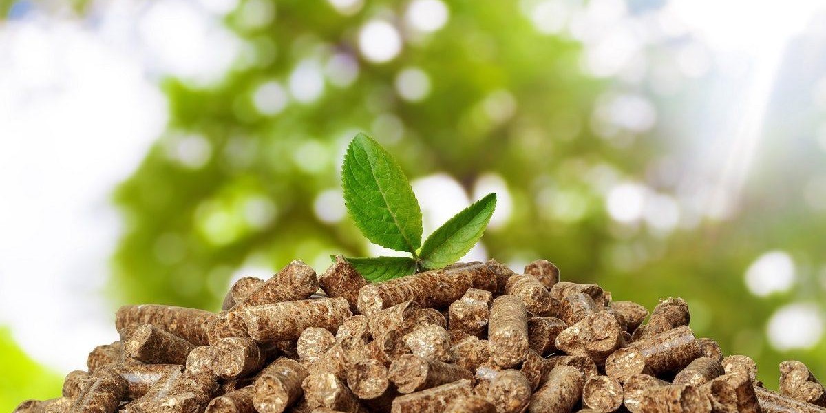 Biomass Solid Fuel Market is Anticipated to Witness High Growth