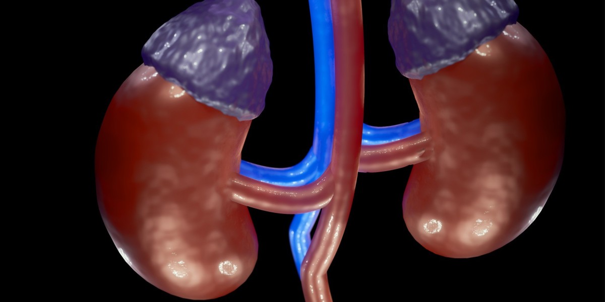 The Diabetic Kidney Disease Market is Anticipated to Witness High Growth Owing to Increasing Prevalence of Diabetes
