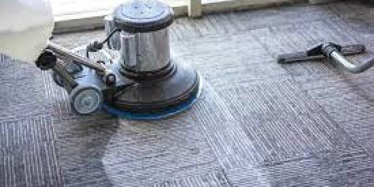 Invest in Tomorrow: The Importance of Carpet Cleaning Today