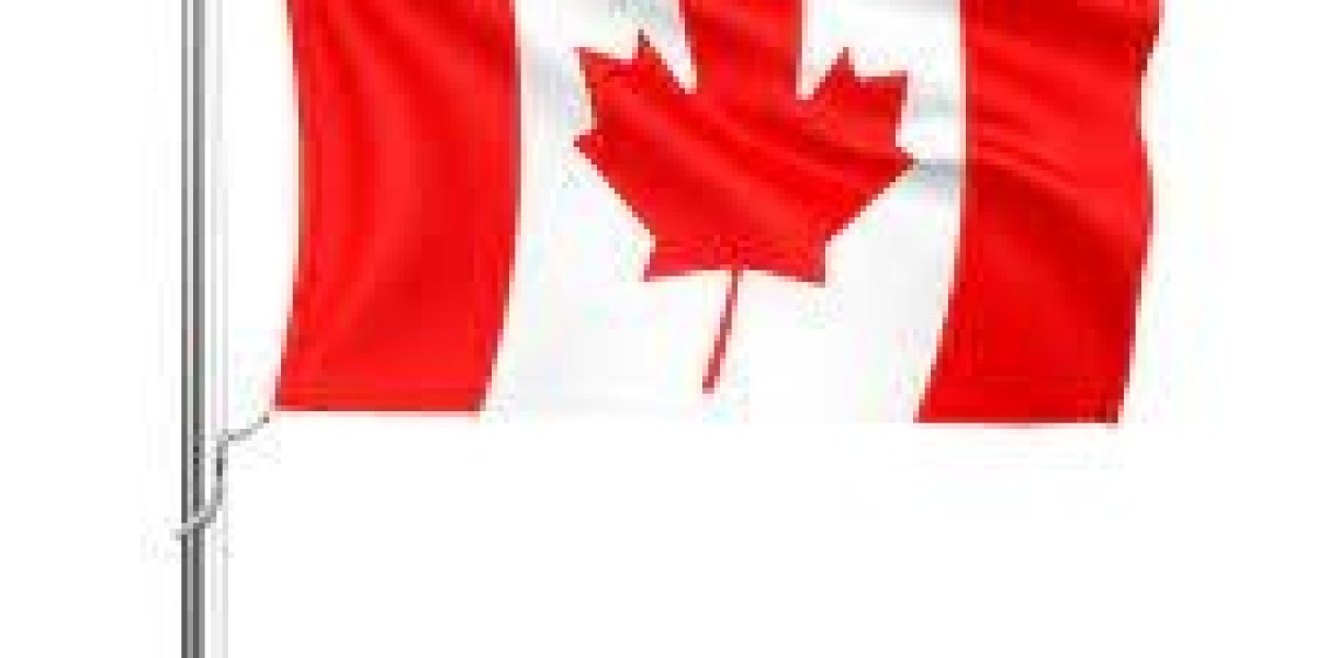 Top Canada Immigration Consultant In Dubai