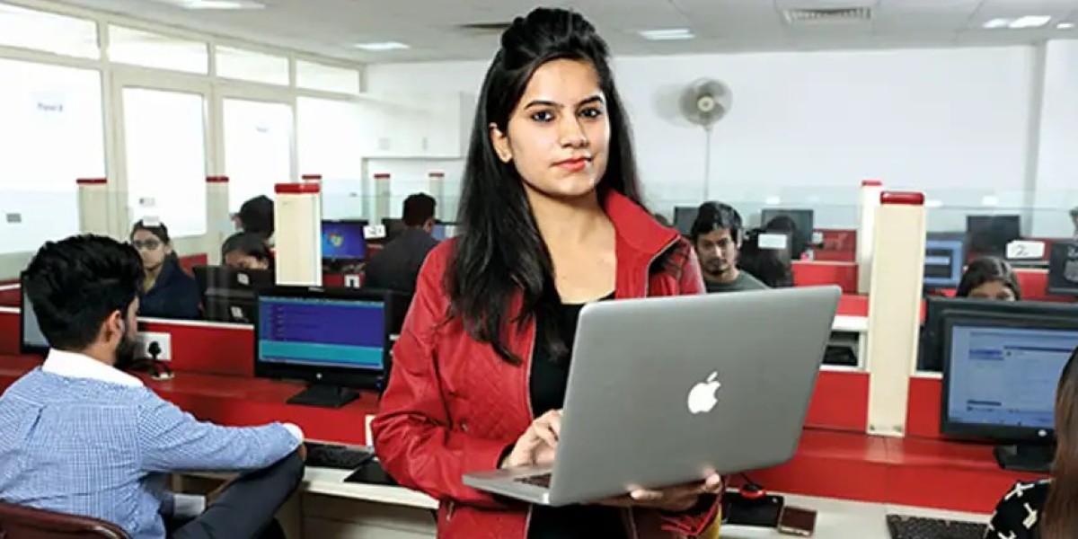 Everything you need to know about B.Sc. in Information Technology