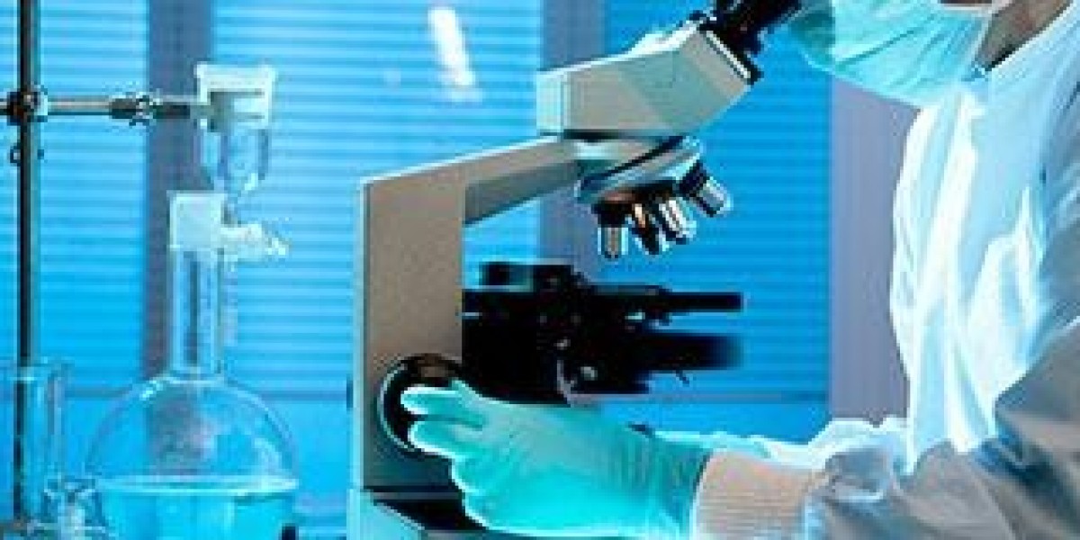 Exploring the Booming Research Antibodies and Reagents Market: Trends and Global Forecasts