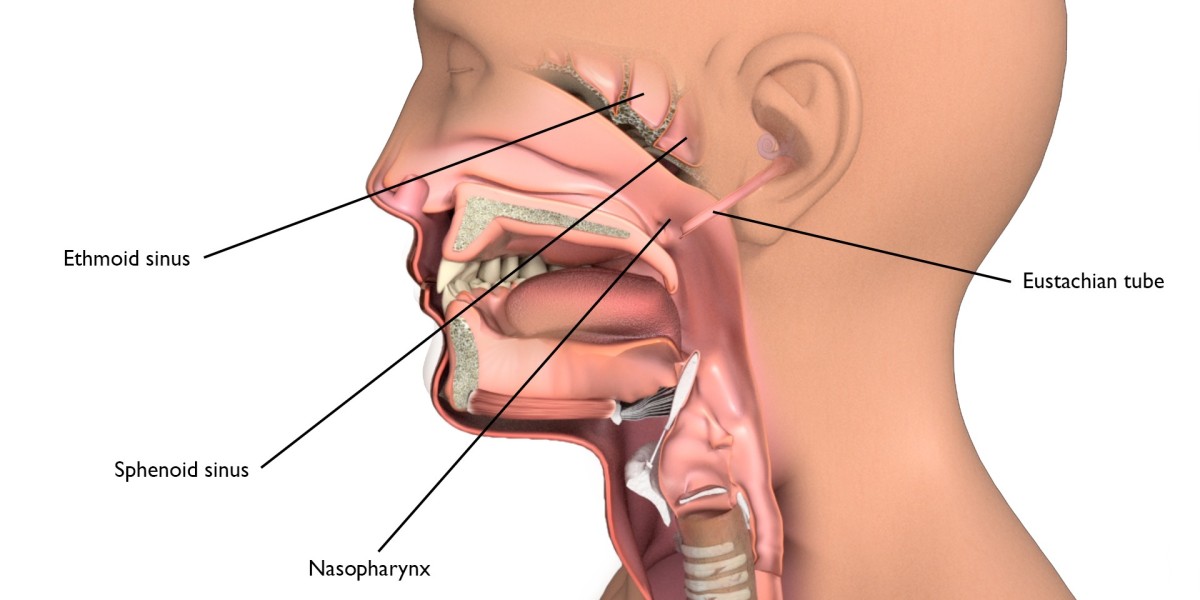 Combating Oral Thrush: Exploring the Global Oropharyngeal Candidiasis Market