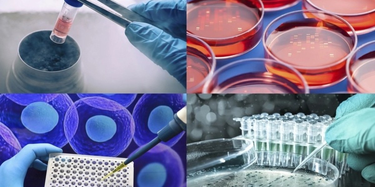 Exploring the Latest Innovations in Sequencing Consumables Technology