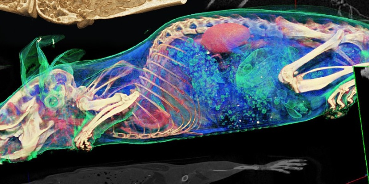 The Global Preclinical Imaging Market growth is driven by innovation in imaging modalities