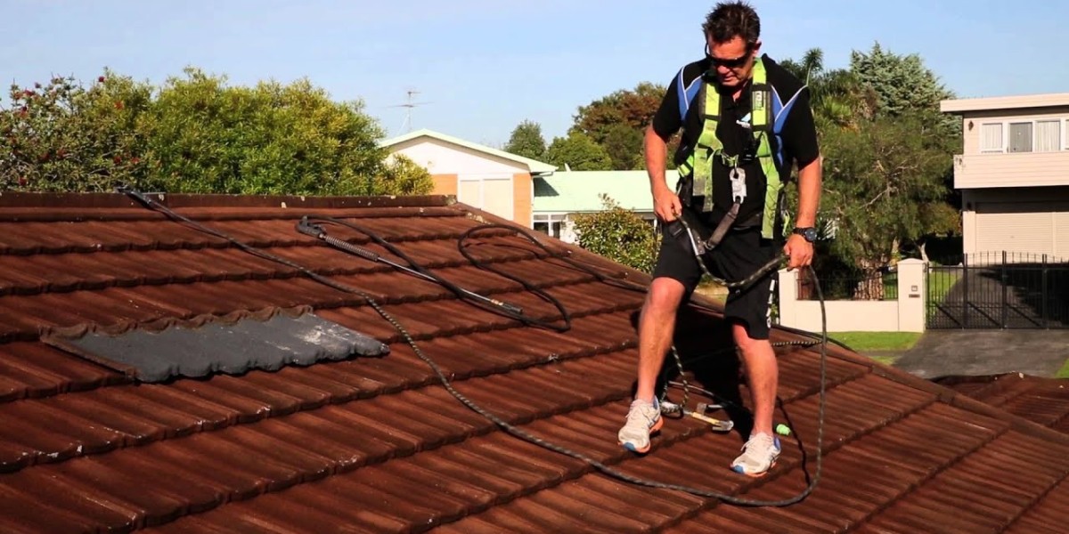 The Importance of Professional Attention for Industrial Roof Leak Repair