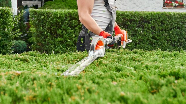 Hedge Trimming And Pruning Services - Western Lawn Mowing