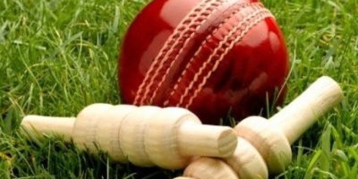 Cricket Betting Demystified: The Role of 96in in the Modern Era
