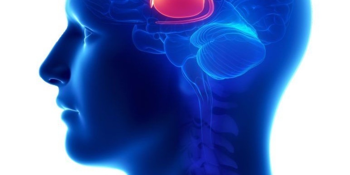 PSP Treatment Market Share,Scope