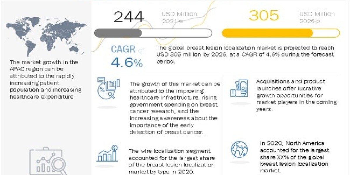 Insightful Analysis: Unraveling the Breast Lesion Localization Market Landscape, Growth Opportunities, and Trends for 20
