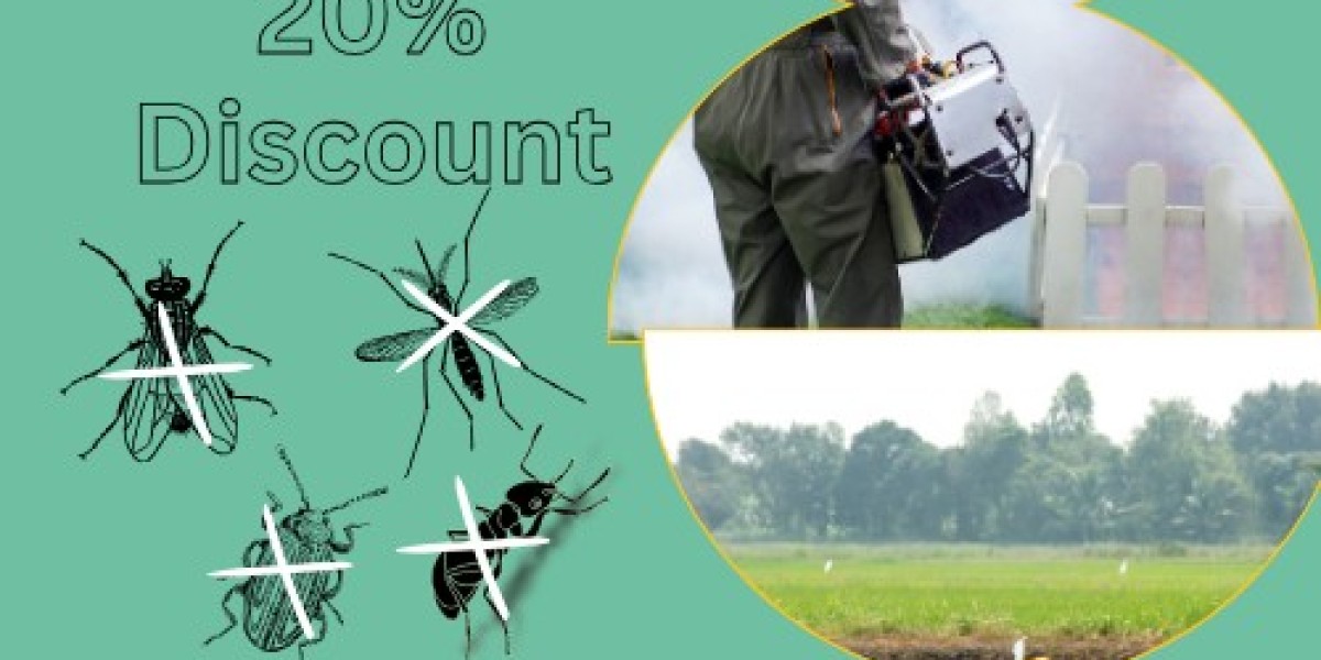 Keeping Tottenham Pest-Free Expert Control Services