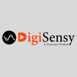 Digisensy Award Winning Digital Marketing 