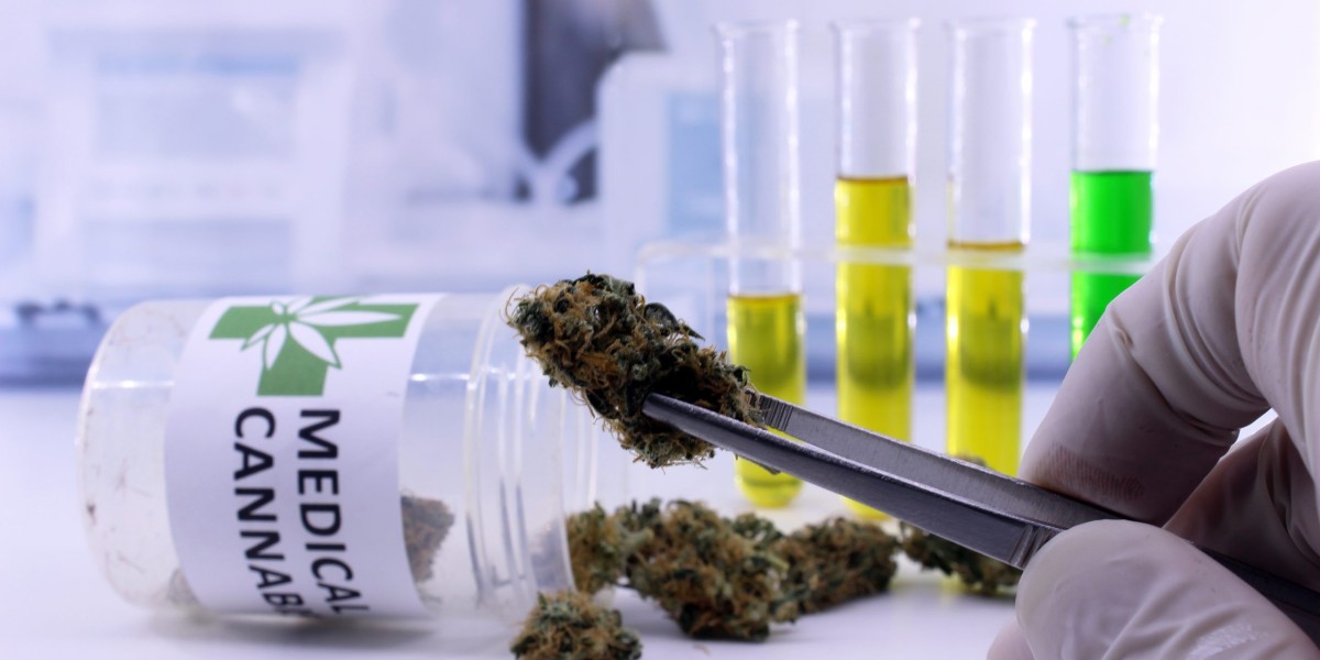 Healing Harvest: Insights into the Booming Medicinal Cannabis Industry