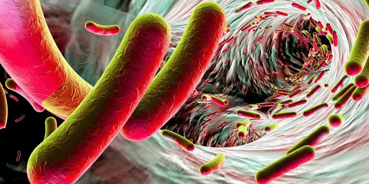 Deciphering Clostridium Difficile: Navigating Diagnosis and Treatment Challenges