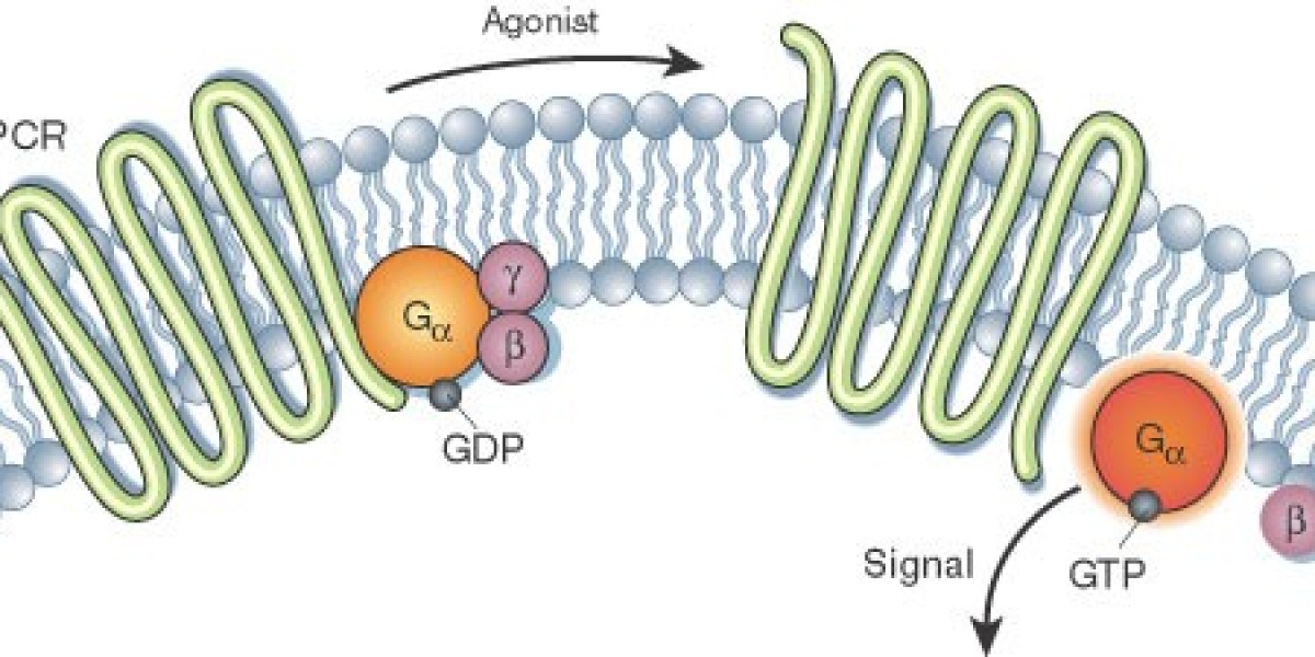 Unlocking The Potential Of Global G-Protein Coupled Receptors: Implications For Drug Discovery And Therapeutics