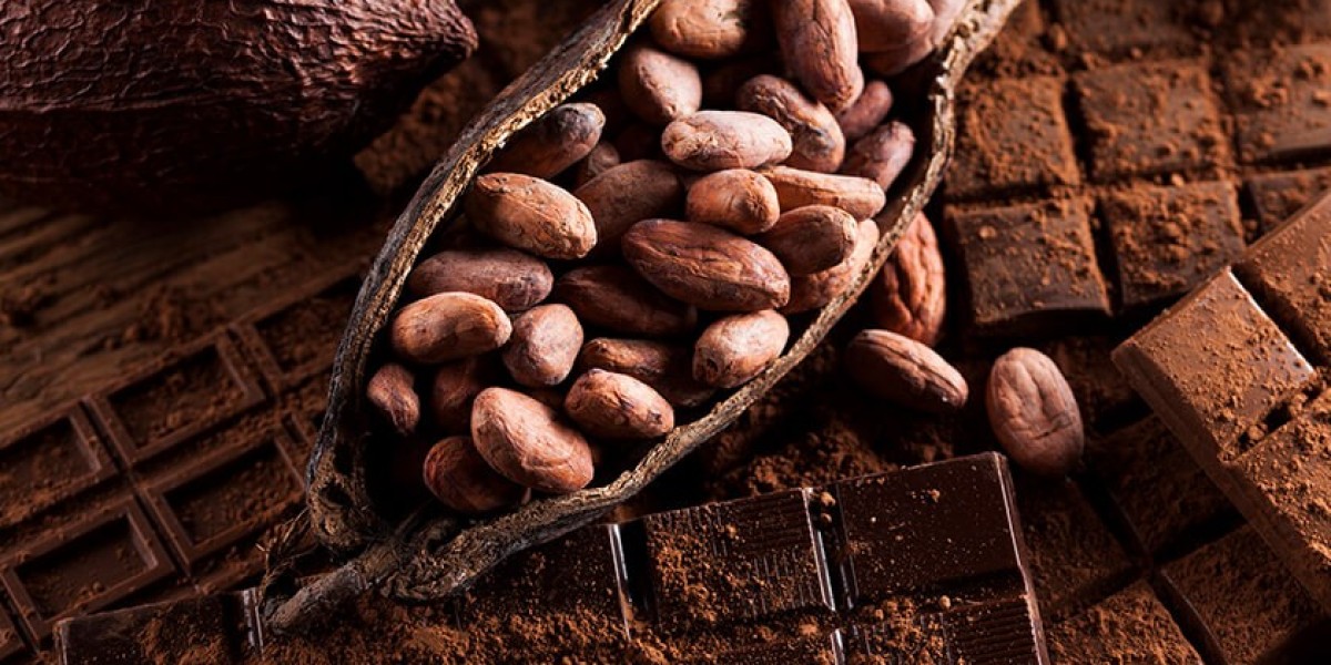 Analyzing Trends and Opportunities in the Cocoa Market: A Comprehensive Overview