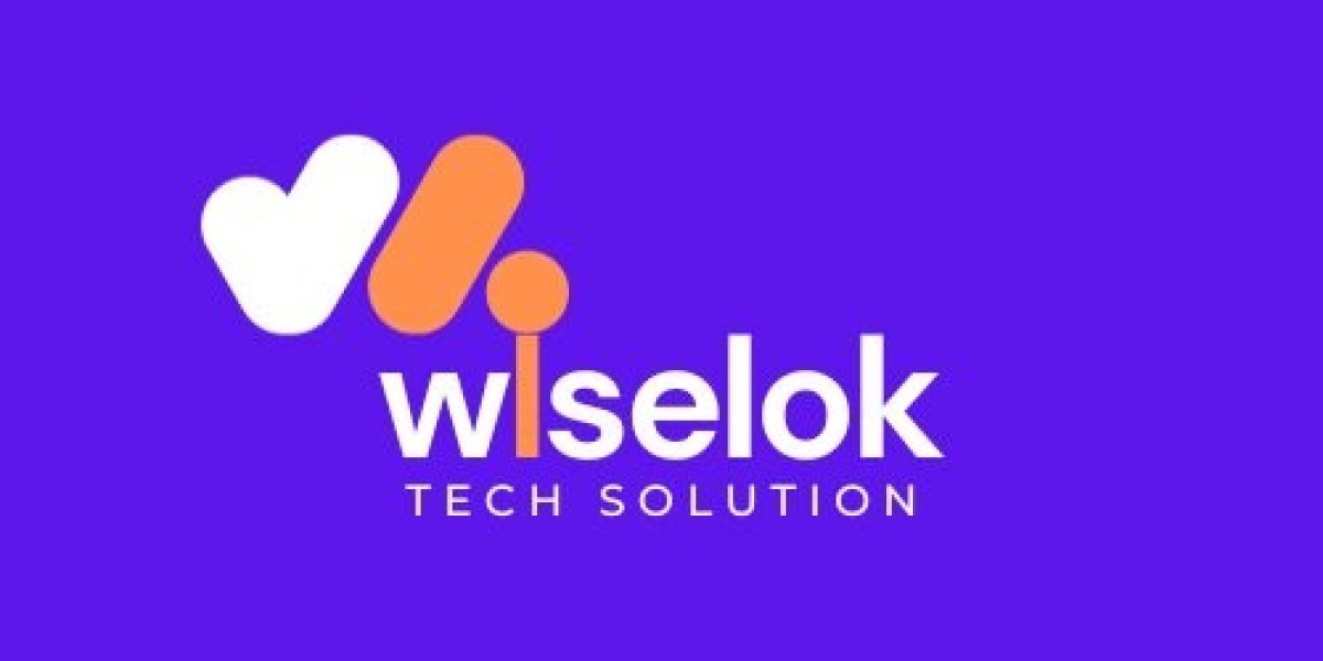 Ecommerce Seo Services - Wiselok Tech Solution